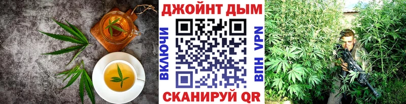 Купить  Починок  Canna-Cookies конопля 