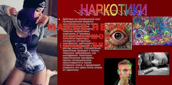 соль ск Касимов