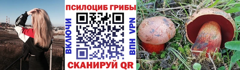 Купить закладки  Починок  Галлюциногенные грибы Psilocybe 